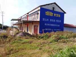 乐至必须知道的墙体广告形势