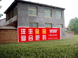 乐至如何让墙体广告展现最大化效果