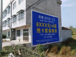 乐至墙体广告质量分析