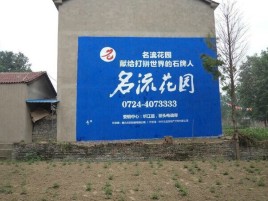 乐至农村墙体广告的长尾效应