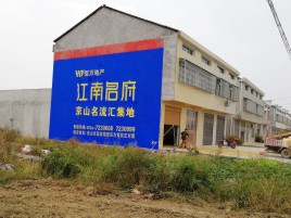 乐至农村墙体广告在不同形式上面展现的不同特色
