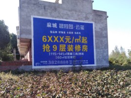 乐至墙体广告的好处
