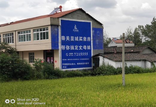 乐至决定墙体广告价格的因素有哪些?