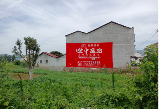 乐至做墙体广告的意义